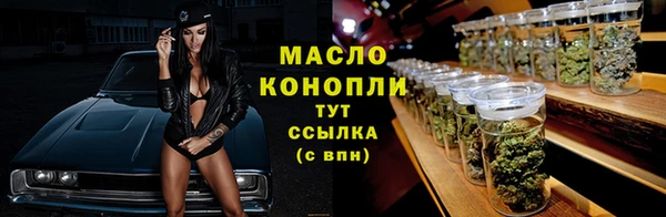 крисы Новодвинск