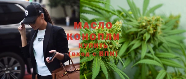 крисы Новодвинск