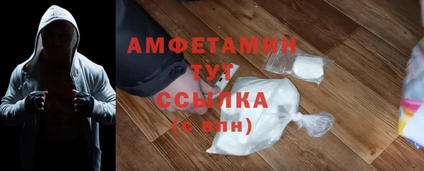крисы Новодвинск