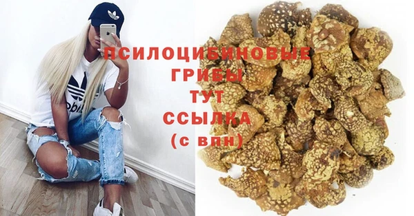 Альфа ПВП Новозыбков