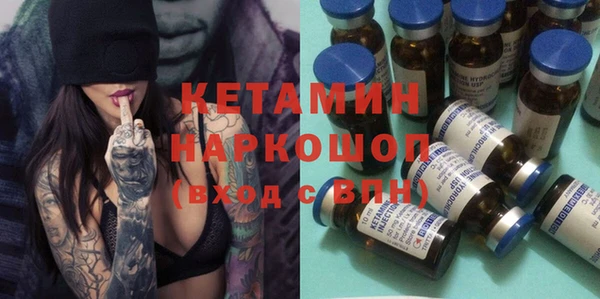 крисы Новодвинск