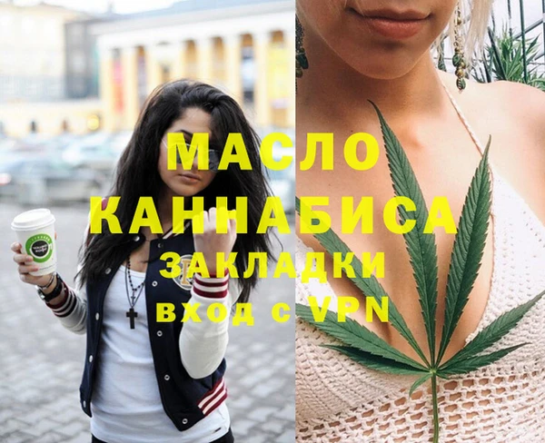 крисы Новодвинск