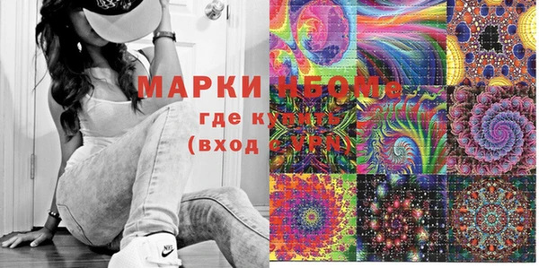 крисы Новодвинск