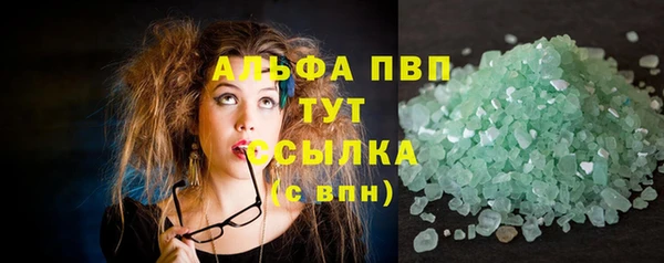 крисы Новодвинск