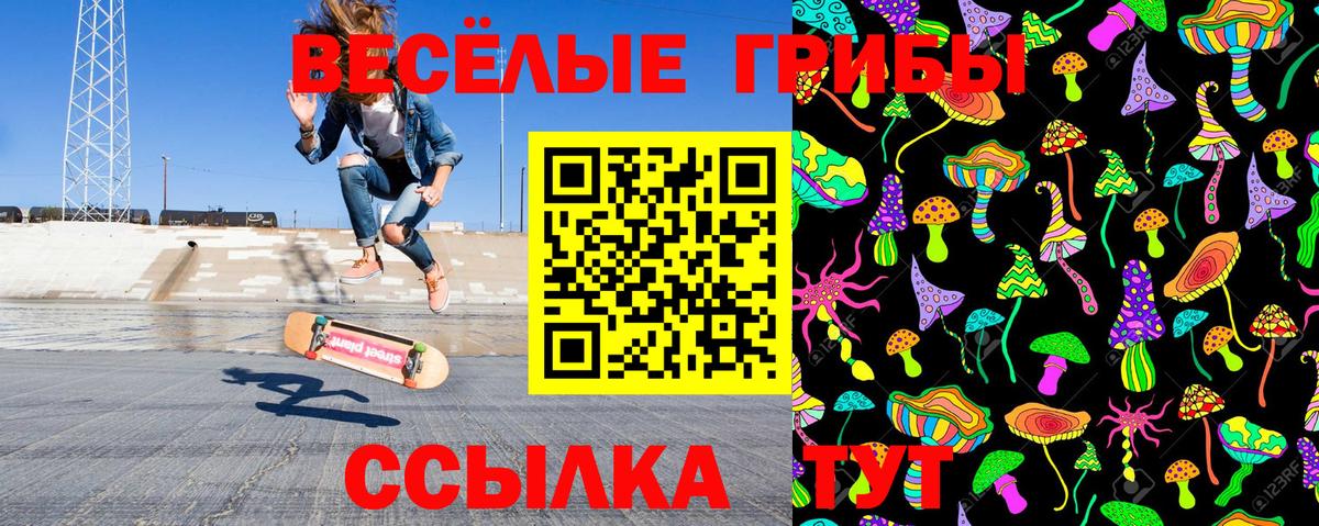 Псилоцибиновые грибы GOLDEN TEACHER  Вход с VPN  Североморск 