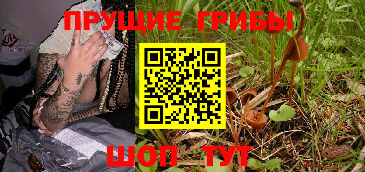 купить наркоту  Североморск  Псилоцибиновые грибы ЛСД 