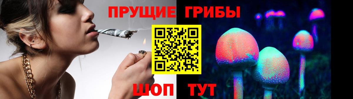 Галлюциногенные грибы GOLDEN TEACHER Североморск